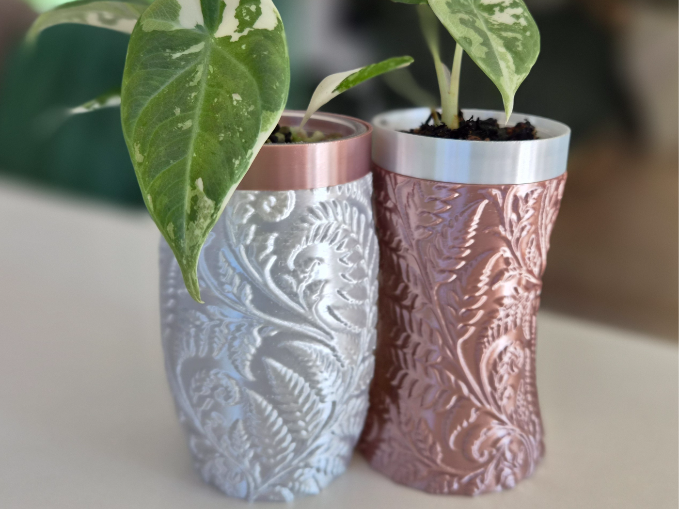 Fern Cuddle Planter 3D model