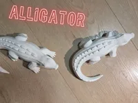 0.2mm layer, 2 walls, 7% infill