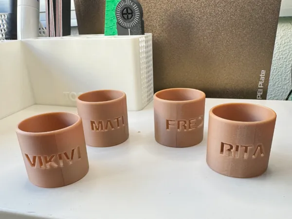 https://makerworld.bblmw.com/makerworld/model/US7bb06d4f2a593f/design/2024-05-17_ad9aca602ac67.jpg
