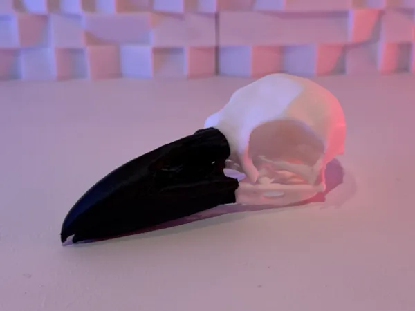 https://makerworld.bblmw.com/makerworld/model/US7bbcfbfd0b1c5f/design/2025-07-07_b1910f1635d53.jpg