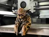 0.16mm layer, 2 walls, 12% infill