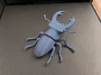 0.08mm layer, 2 walls, 7% infill