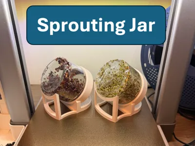 Sprouting Jar