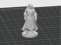 50mm, 0.08mm layer, 2 walls, 10% infill