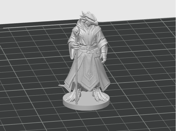 Zauberer Dragonborn D&D Miniatur 