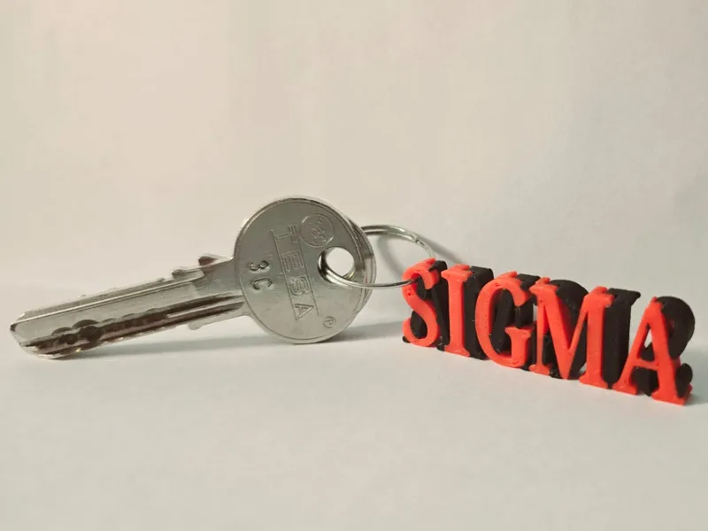 SIGMA bilateral keychain