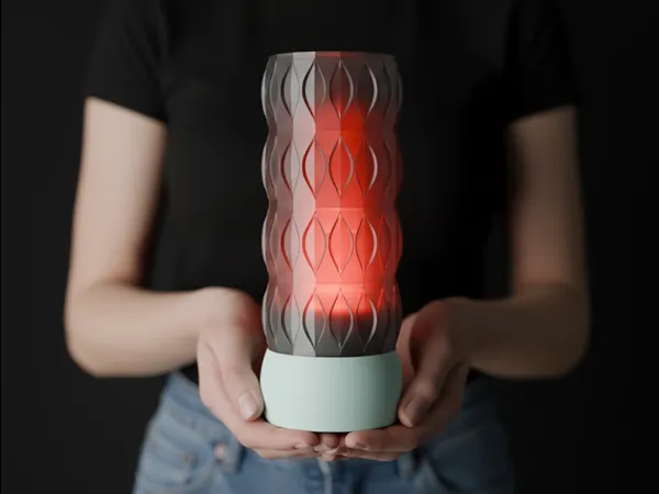 https://makerworld.bblmw.com/makerworld/model/US7bd1c7aca1ae7/design/2026-01-01_ba47c56617e1d8.jpg