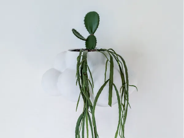 https://makerworld.bblmw.com/makerworld/model/US7bd51512a55485/design/2024-11-29_d6fafad84d86.jpg