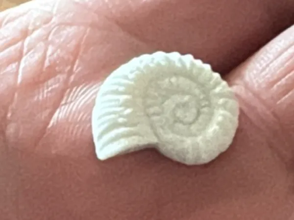 https://makerworld.bblmw.com/makerworld/model/US7bda04a488c07a/design/59a4c32d0f3ea8c3.jpeg