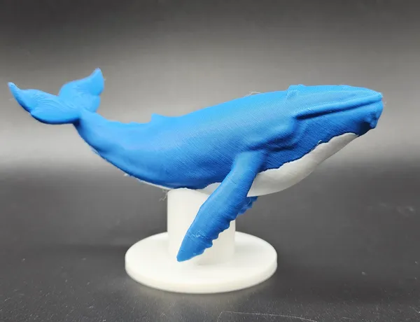 https://makerworld.bblmw.com/makerworld/model/US7bdad72b923567/design/2025-01-12_a9pphm8495bl.jpg