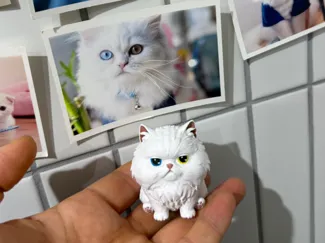 오드아이 흰색 페르시안 고양이 캐릭터