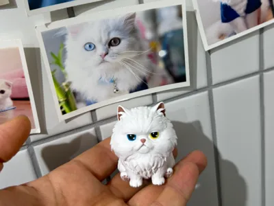 Odd-eyed White Persian Cat Character