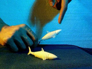 https://makerworld.bblmw.com/makerworld/model/US7bdbe44df015d3/design/2025-01-08_4b0f1d887cd1.gif