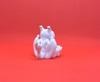 Bébé Dracaufeu — photo 3