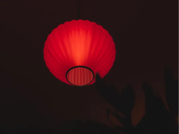 https://makerworld.bblmw.com/makerworld/model/US7bdf4fc7a86290/design/e707416ba51ac64d.jpg