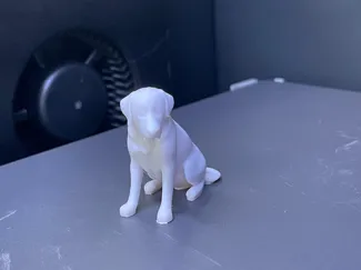 Sitzender Labrador