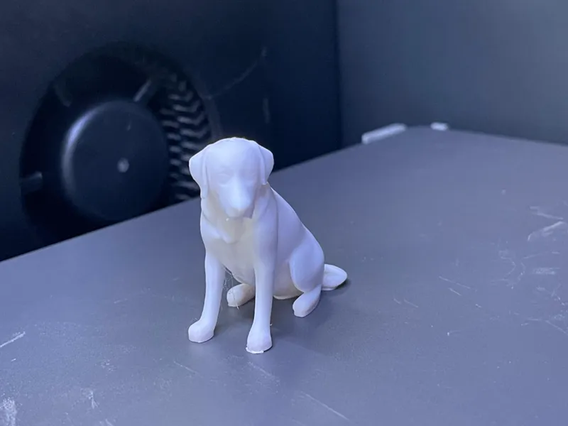 Sitzender Labrador