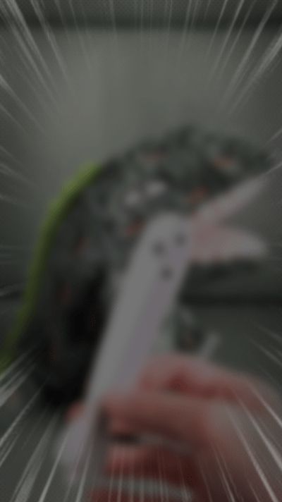 Sacabambaspis Butterfly Knife (Tiktok Fidget Toys)