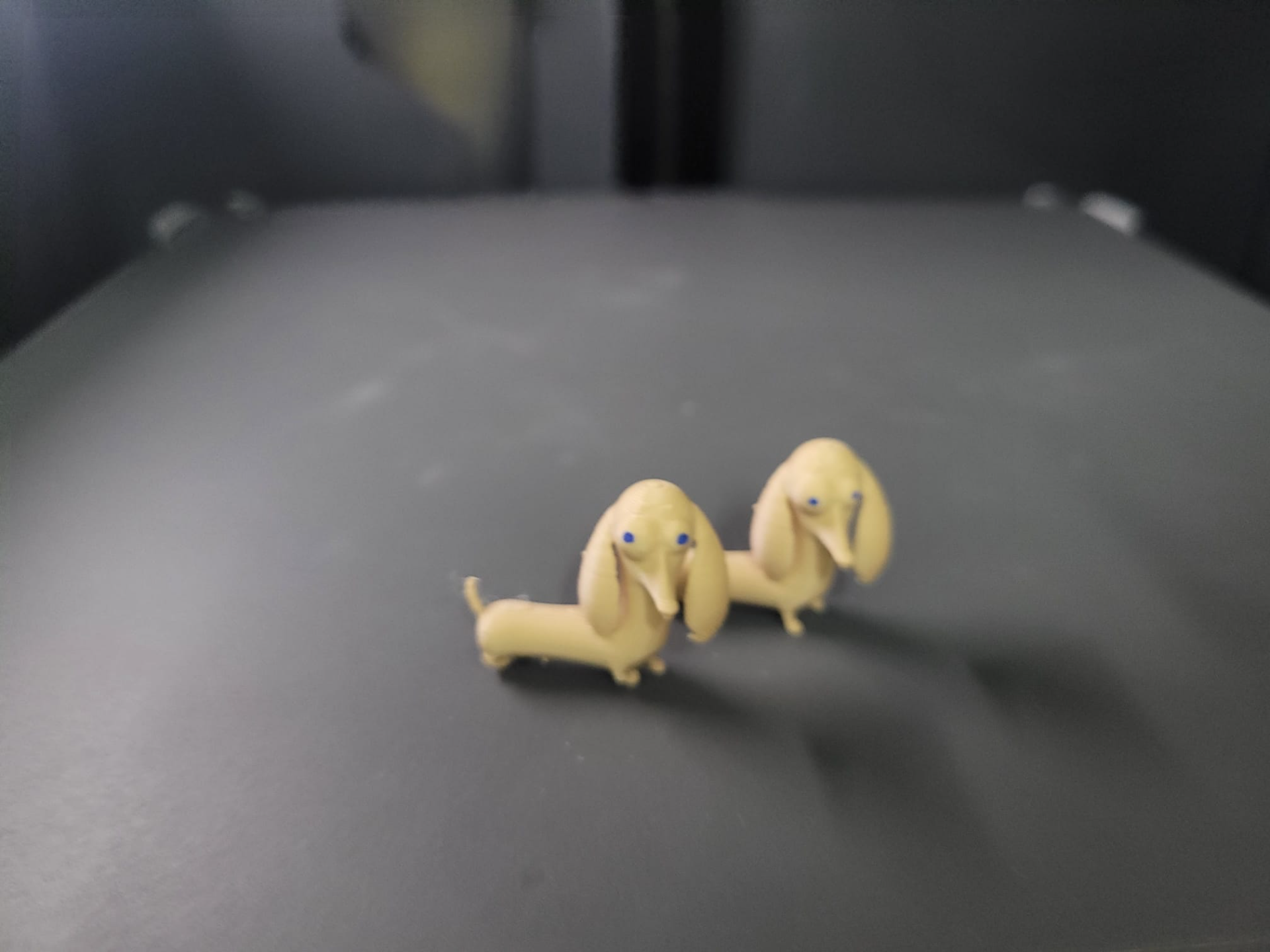 puppy 3D model