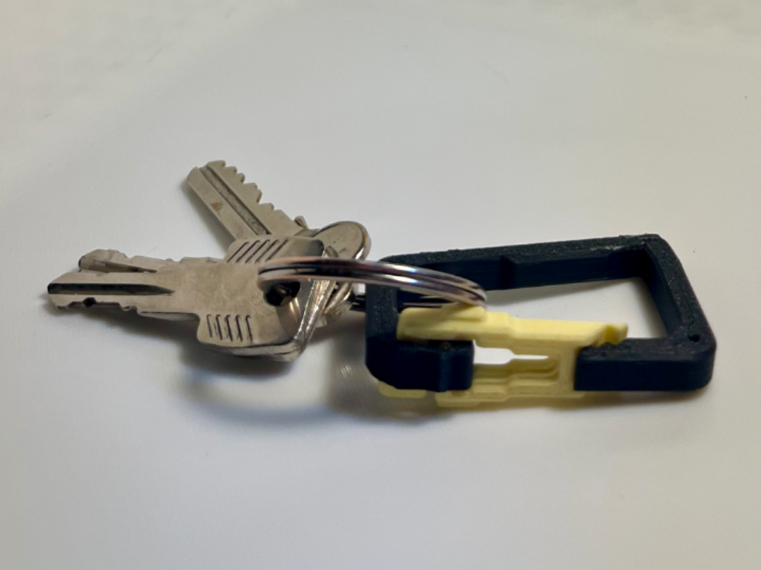 Mini Carabiner Keychain