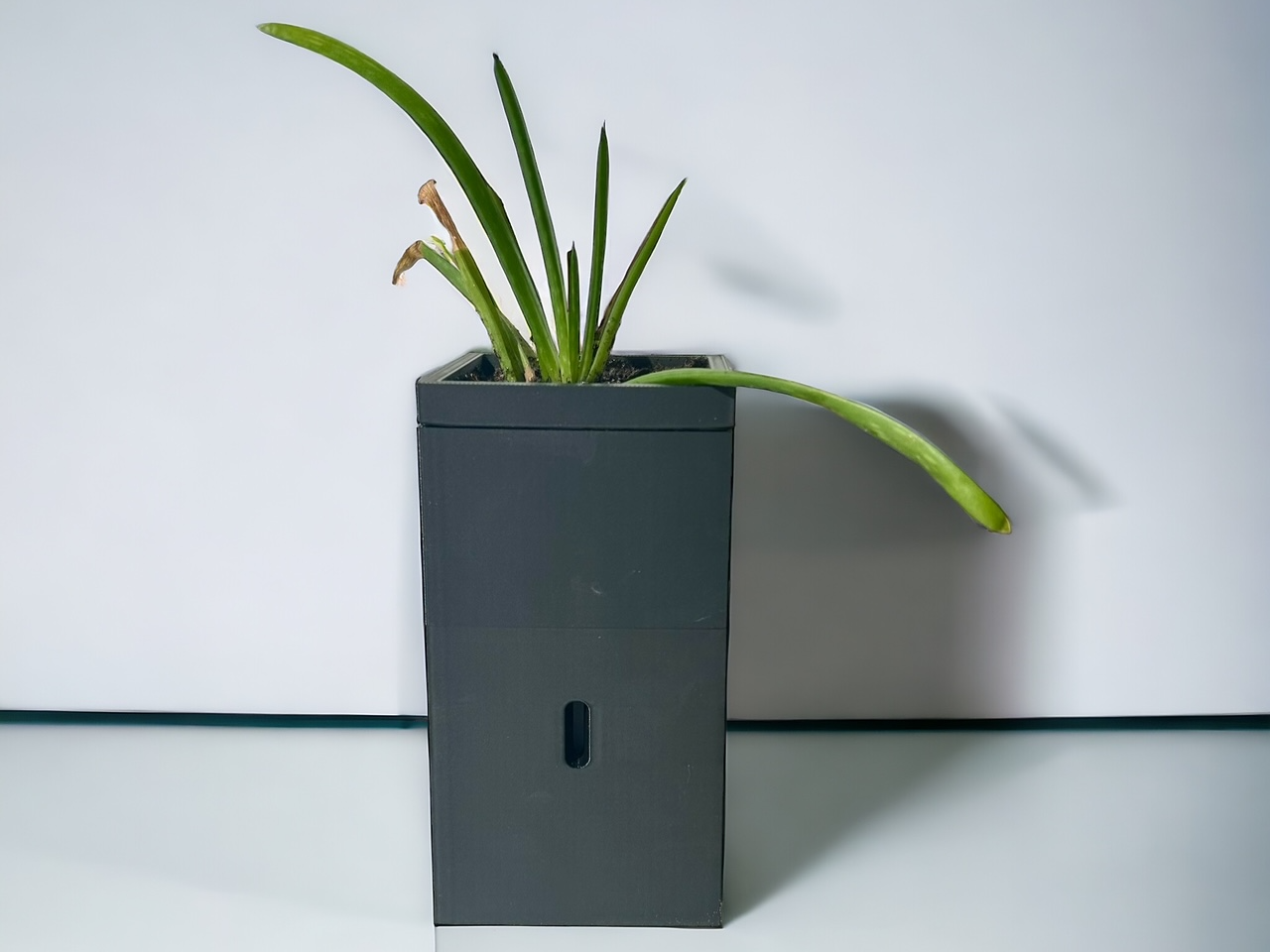 Self Watering Simple Planter