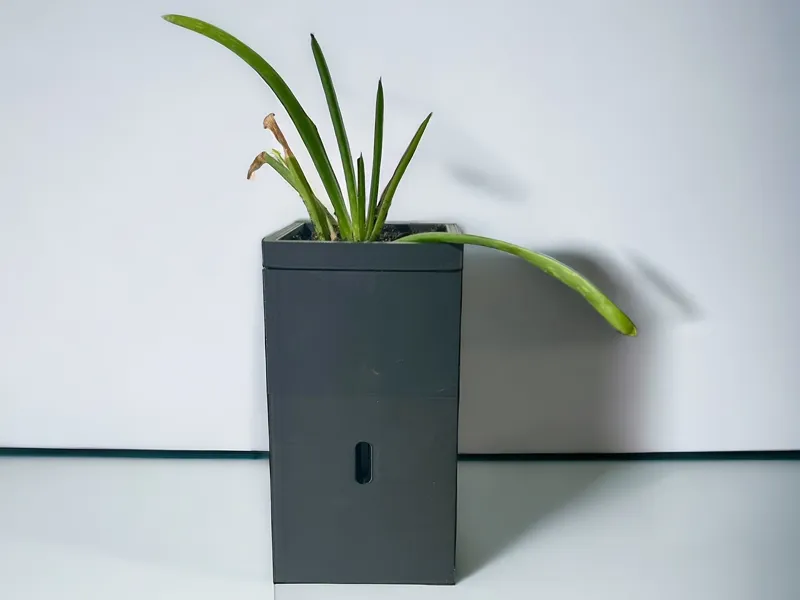 Self Watering Simple Planter