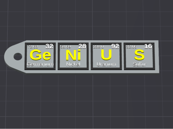 GeNIUS- Label - keychain
