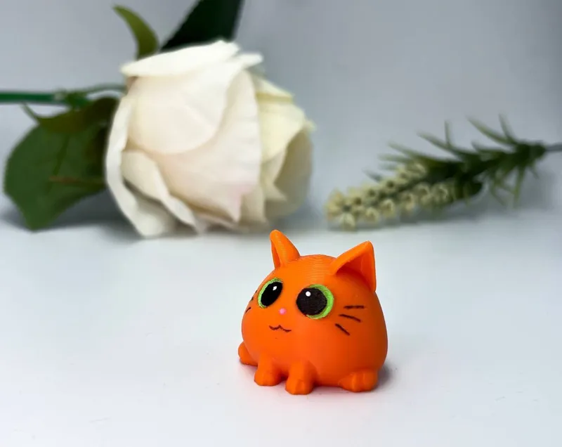 Kitty cat