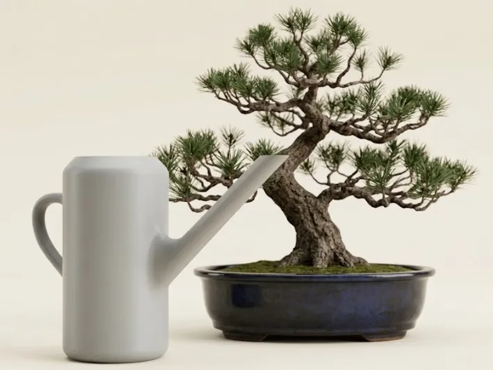 annaffiatoio bonsai