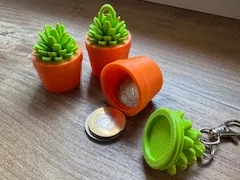 Keychain flower pot hiding place coin