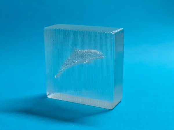 https://makerworld.bblmw.com/makerworld/model/US7bfbba2018e295/design/2024-10-12_cd2ef6ea85781.jpg