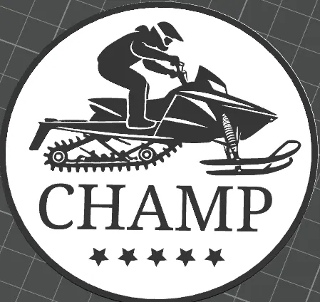 Snowmobile champ coaster