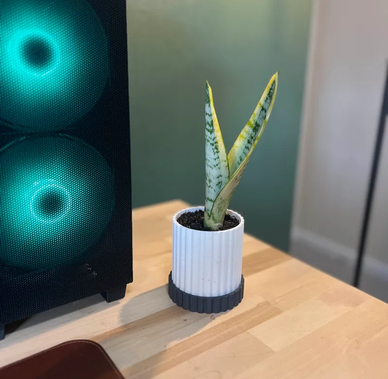 Modern Planter