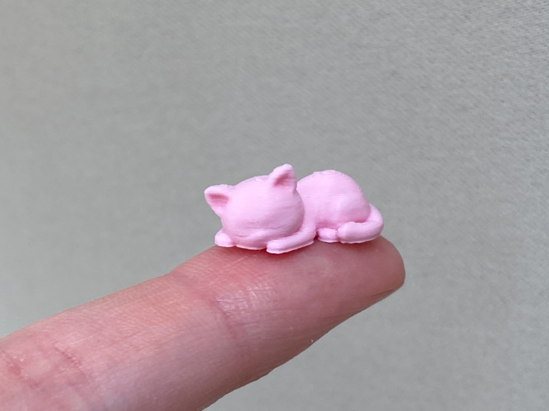 Mini Cat