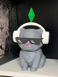 Boy Cat