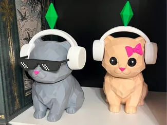 Cat Dance Sims Money Gift Box