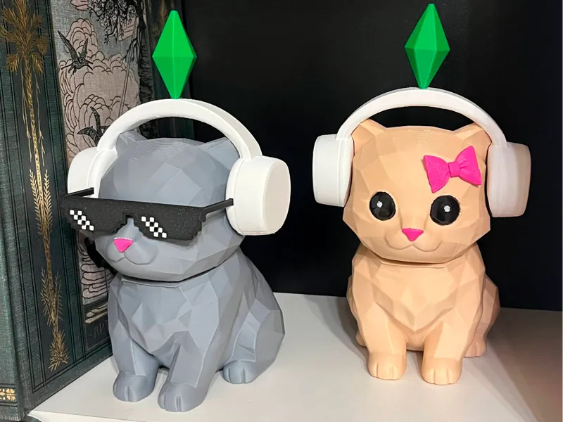 Cat Dance Sims Money Gift Box