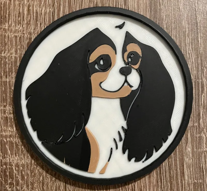 Cavalier King Charles Coaster