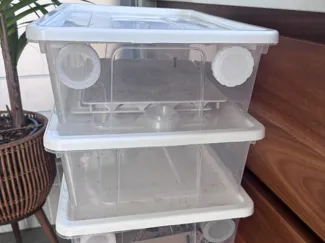 Mealworm tub vent
