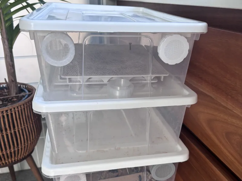 Mealworm tub vent