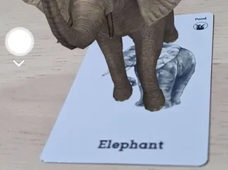 Animal 4D+