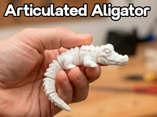 https://makerworld.bblmw.com/makerworld/model/US7c1f183aaac2a8/design/2025-12-21_86c97a6a1ae09.png