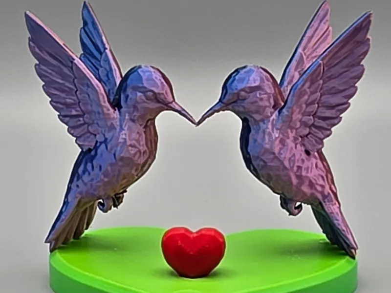 Hummingbird Love