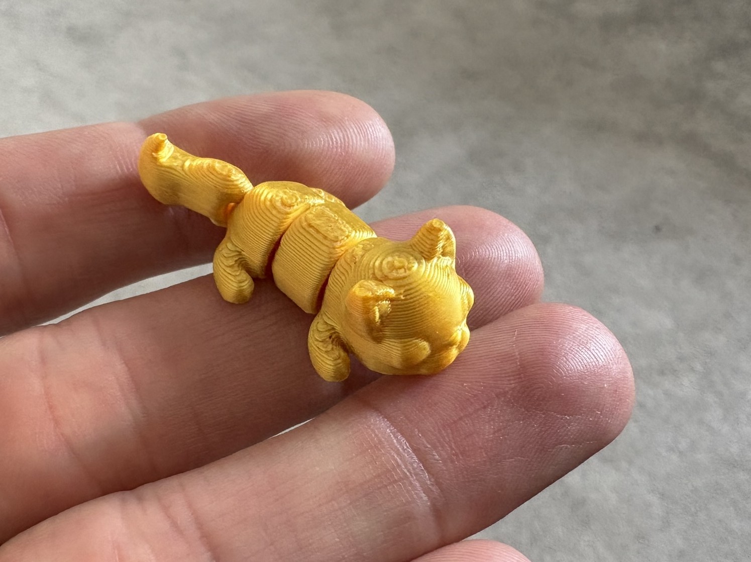 Miniatura 11 do modelo 3D Flexi Cat (New Design!)