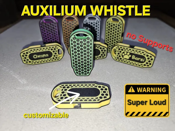 https://makerworld.bblmw.com/makerworld/model/US7c2472bca80d28/design/2025-02-14_f2148111377e28.jpg