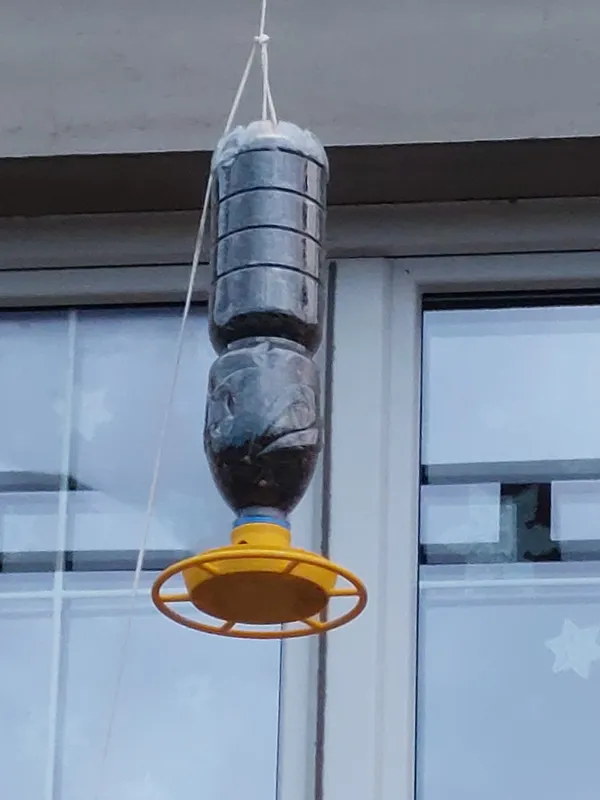 https://makerworld.bblmw.com/makerworld/model/US7c25e435582952/design/2024-01-05_8a6214c293448.jpg