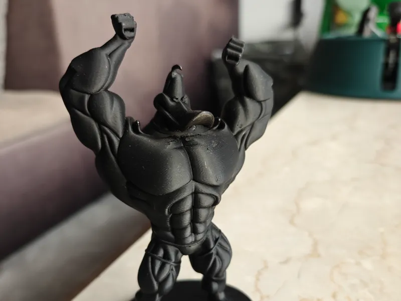 Muscle duck