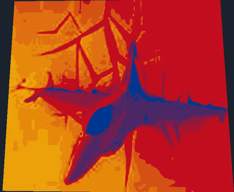 F16 wall 