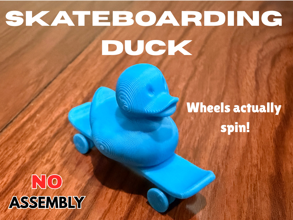 Mini Skateboarding Duck