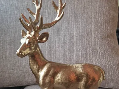 Deer
